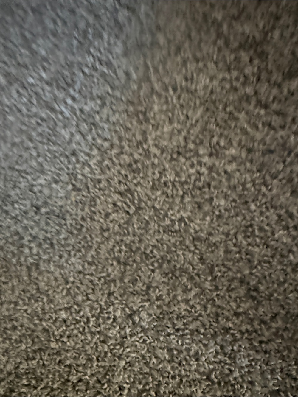 Carpet - Picture 1 of 3